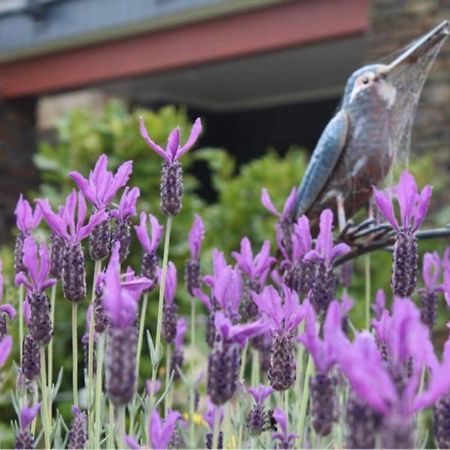 Maymorn Orchard Suites Upper Hutt Kültér fotó