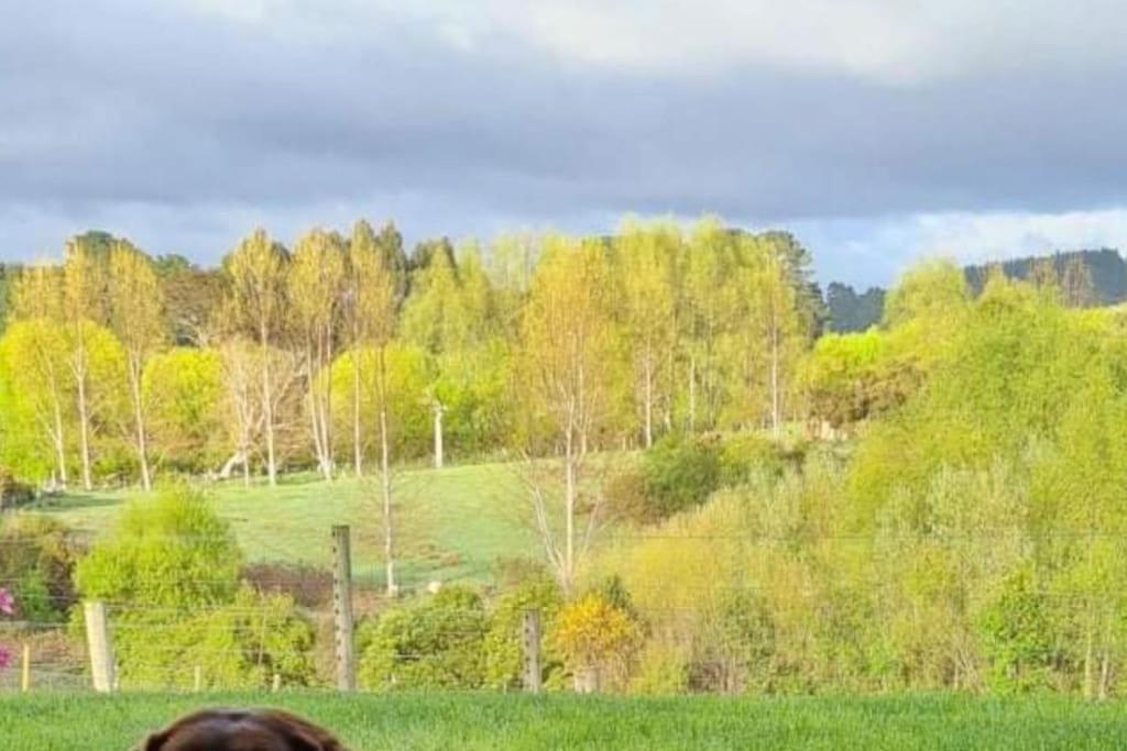 Maymorn Orchard Suites Upper Hutt Kültér fotó