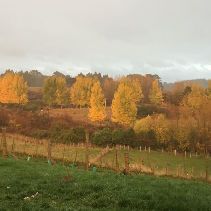 Maymorn Orchard Suites Upper Hutt Kültér fotó