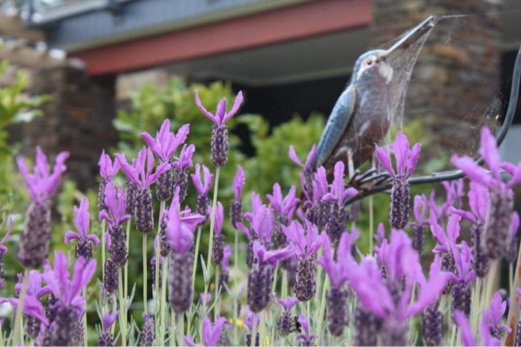 Maymorn Orchard Suites Upper Hutt Kültér fotó