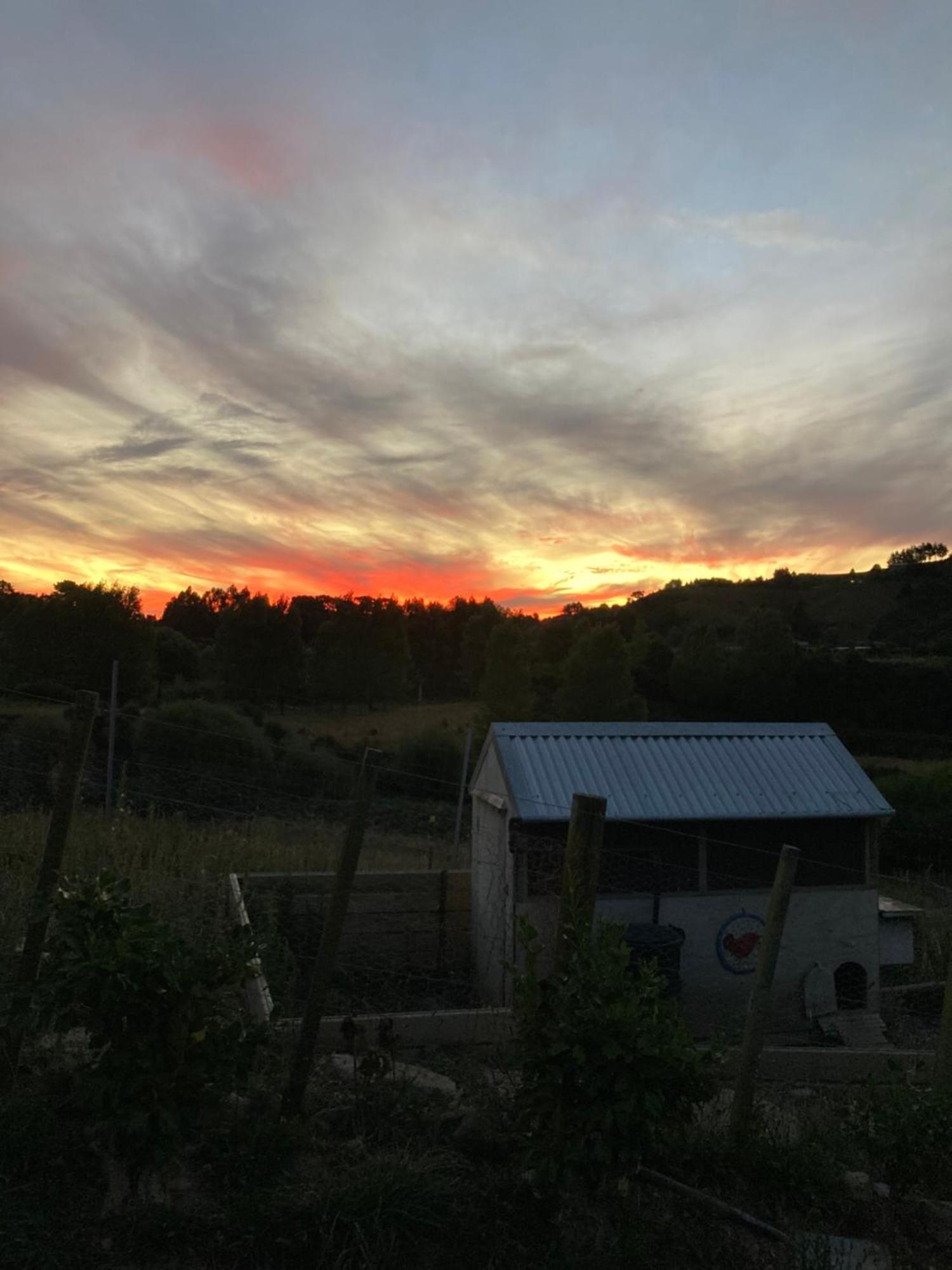 Maymorn Orchard Suites Upper Hutt Kültér fotó
